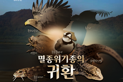 멸종위기종의 귀환