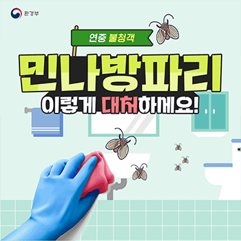 환경부 연중 불청객 민나방파리 이렇게 대처하세요!