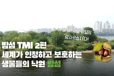 잘 봐! 서울 유일의 람사르습지다! 밤섬 TMI 2편 세계가 인정하고 보호하는 생물들의 낙원 밤섬