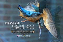 하루 2만 마리 새들의 죽음, 야생조류 유리창 충돌 저감 캠페인