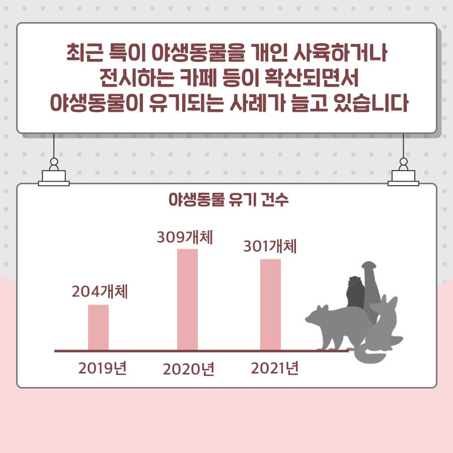 최근 특이 야생동물을 개인 사육하거나 전시하는 카페 등이 확산되면서 야생동물이 유기되는 사례가 늘고 있습니다 야생동물 유기 건수 2019년 204개체 2020년 309개체 2021년 301개체