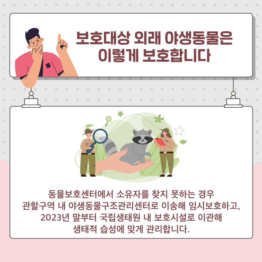 보호대상 외래 야생동물은 이렇게 보호합니다 동물보호센터에서 소유자를 찾지 못하는 경우 관할구역 내 야생동물구조관리센터로 이송해 임시보호하고, 2023년 말부터 국립생태원 내 보호시설ㄹ로 이관해 생태적 습성에 맞게 관리합니다