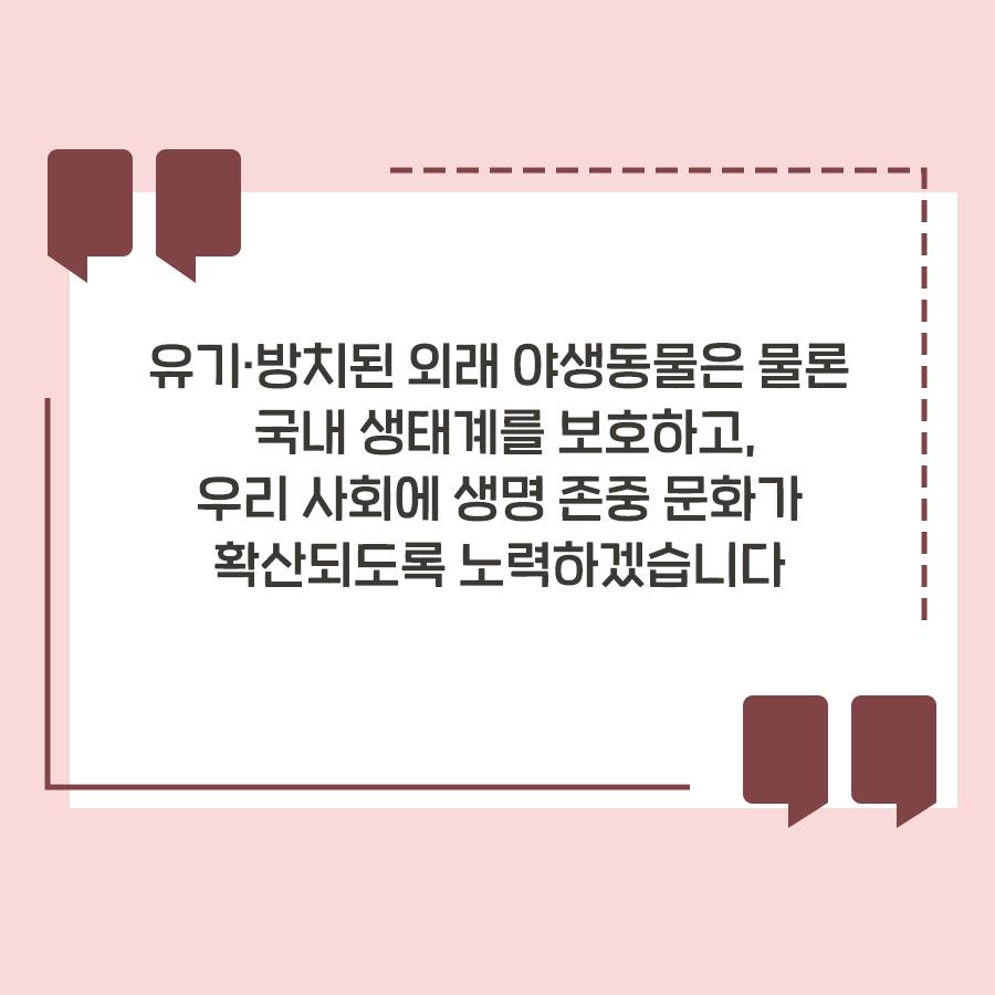 유기 방치된 외래 야생동물은 물론 국내 생태계를 보호하고, 우리 사회에 생명 종중 문화가 확산되도록 노력하겠습니다