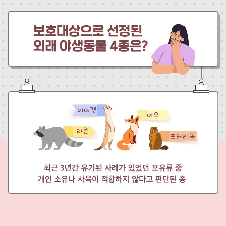 보호대상으로 선정된 외래 야생동물 4종은? 최근 3년간 유기된 사례가 있었던 포유류 중 개인 소유나 사육이 적합하지 않다고 판단된 종