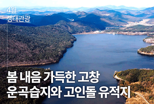 4월 생태관광 봄 내음 가득한 고창 운곡습지와 고인돌 유적지