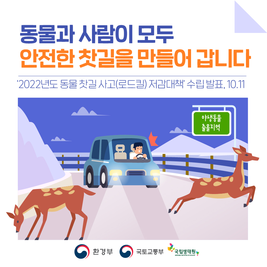 동물과 사람이 모두 안전한 찻길을 만들어 갑니다 2022년도 동물 찻길 사고(로드킬) 저감대책 수립 발표 10.11