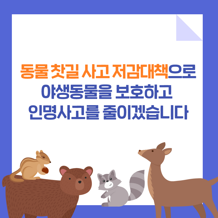 동물 찻길 사고 저감대책으로 야생동물을 보호하고 인명사고를 줄이겠습니다